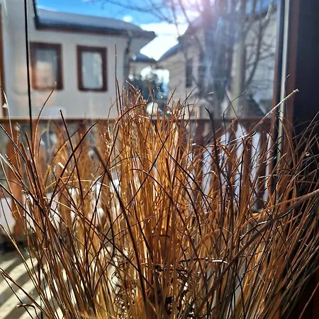 Myplace за отдих
